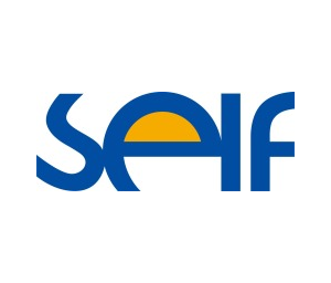 SELF Electronics logo